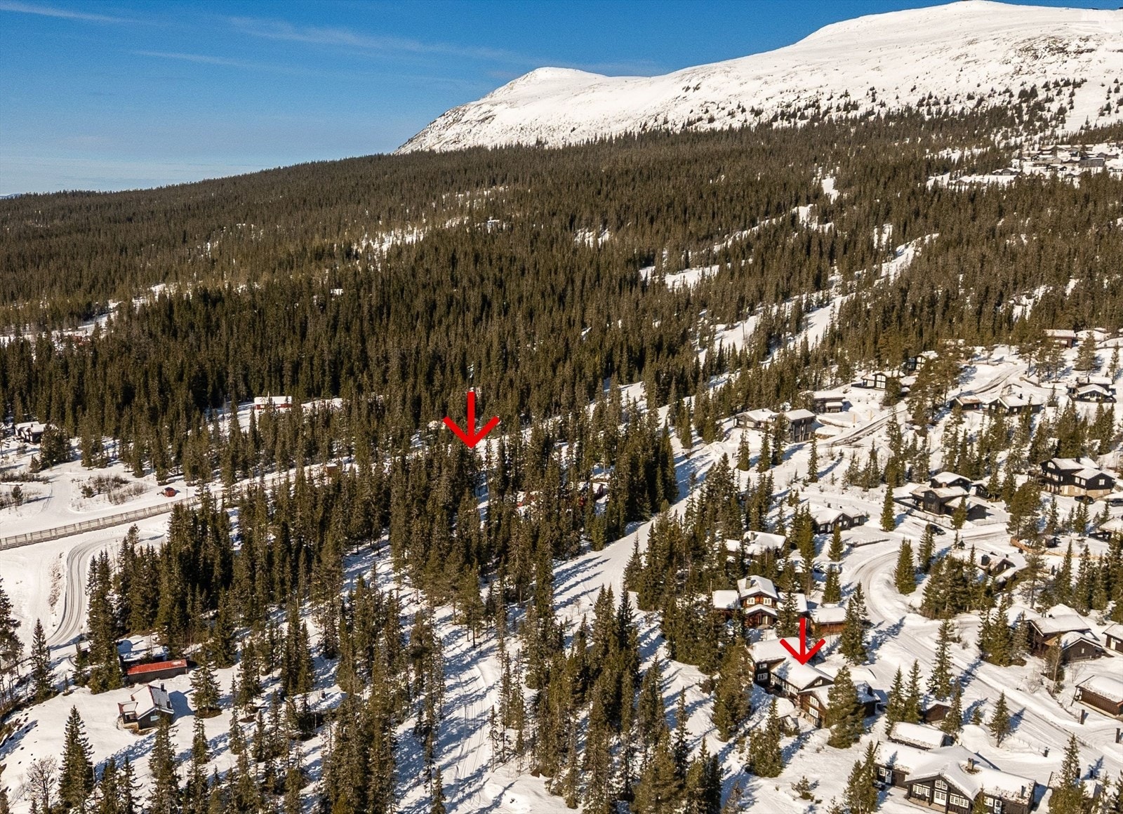 Flombelyst akebakke/ barnebakke med transportbånnd 200 meter fra hytta. Her starter også Ole trekket. Galleribilde