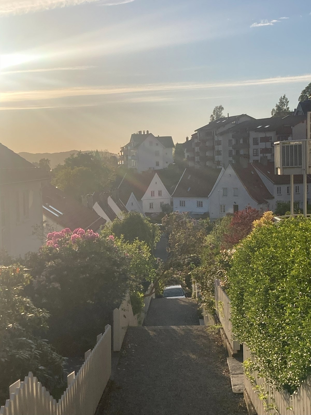 Pinnelien Hageby Galleribilde