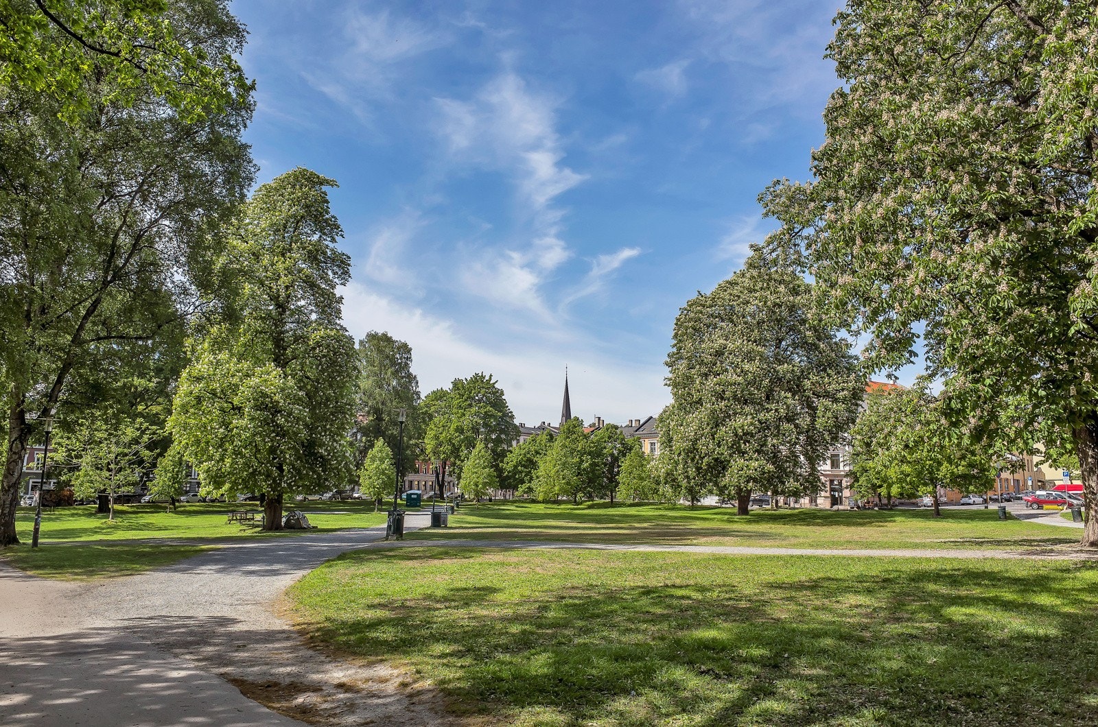 Nærområde: Sofienbergparken Galleribilde
