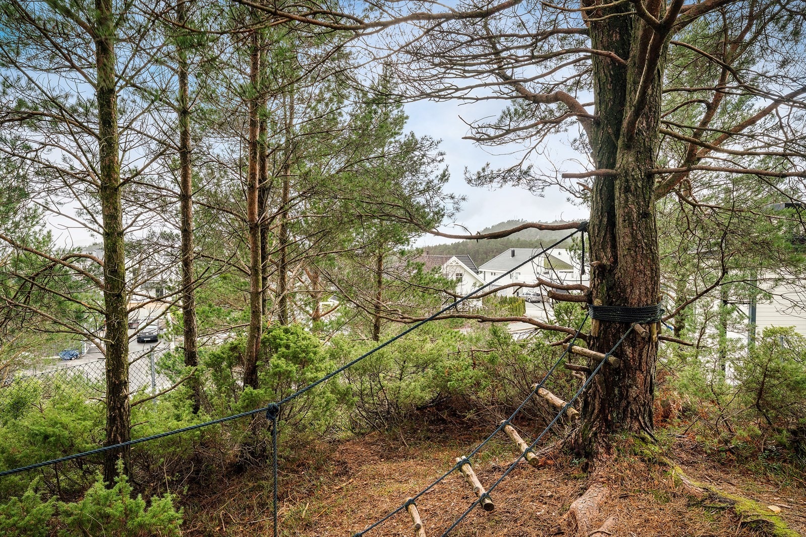 -Umiddelbar nærhet til flere tur- og skogsområder til glede for både store og små. Huset kan skimtes i det fjerne - Galleribilde