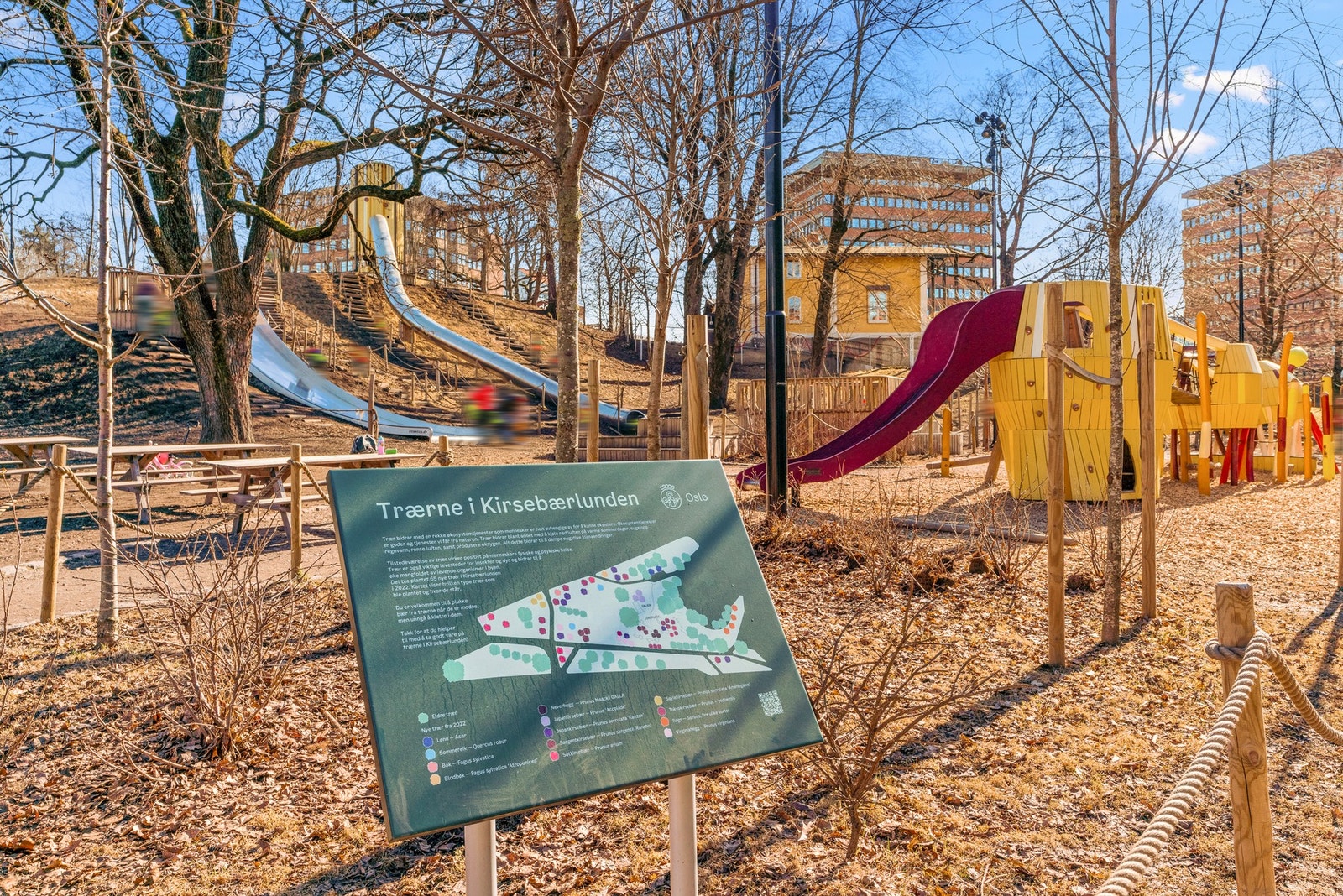 Barnehager og skoler er innenfor kort gangavstand Galleribilde