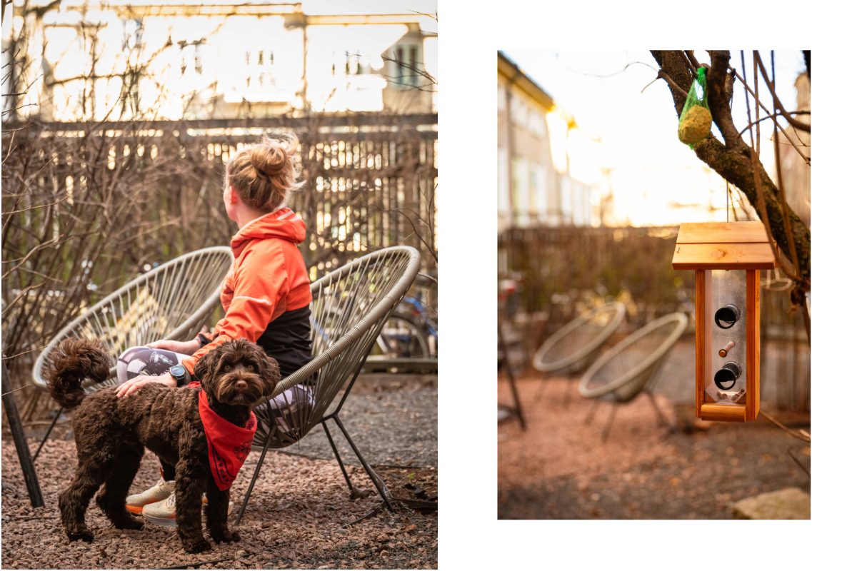 Dyrehold er velkommen, så du kan ta med deg din firbente venn. Galleribilde