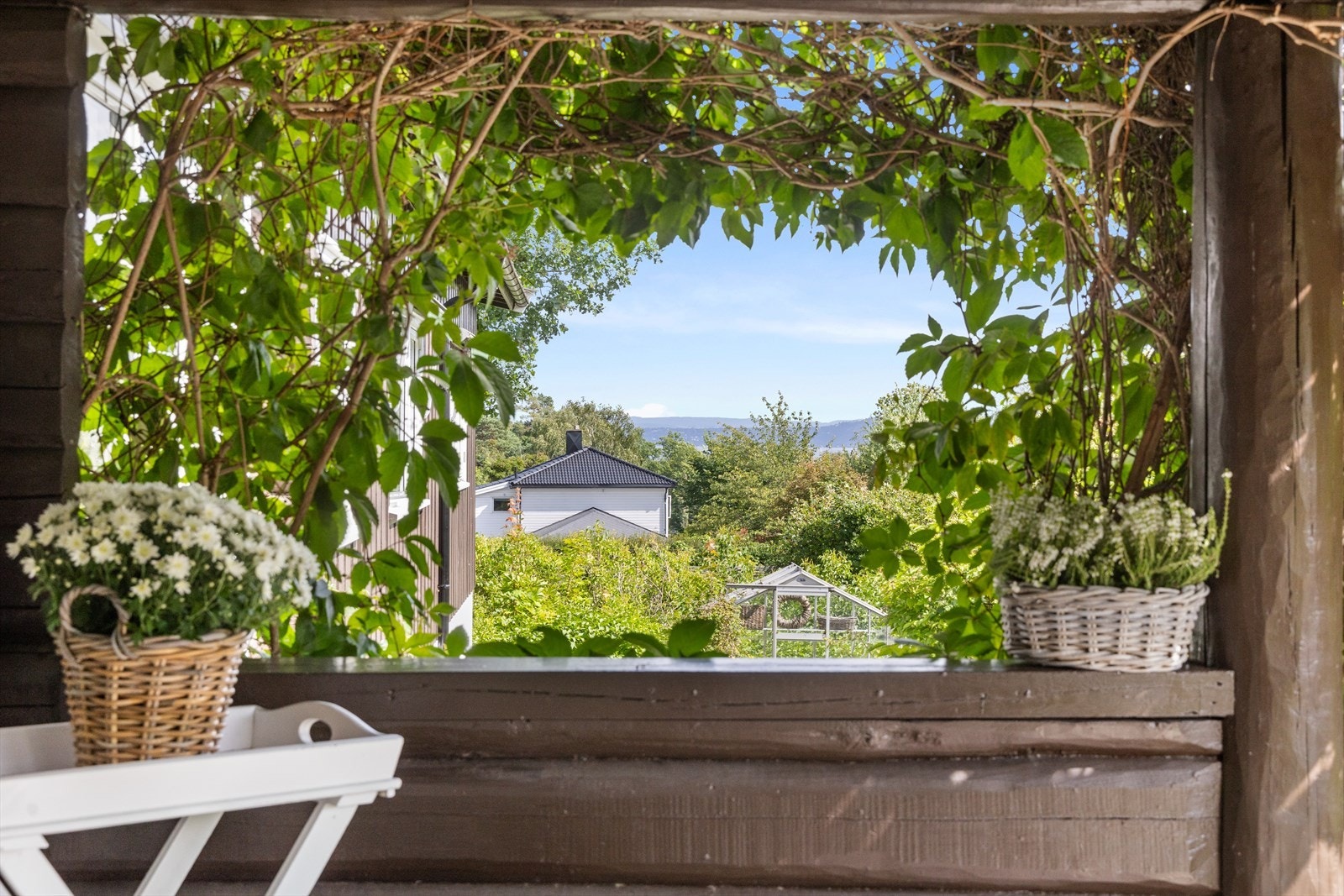 Flott utsikt. Galleribilde