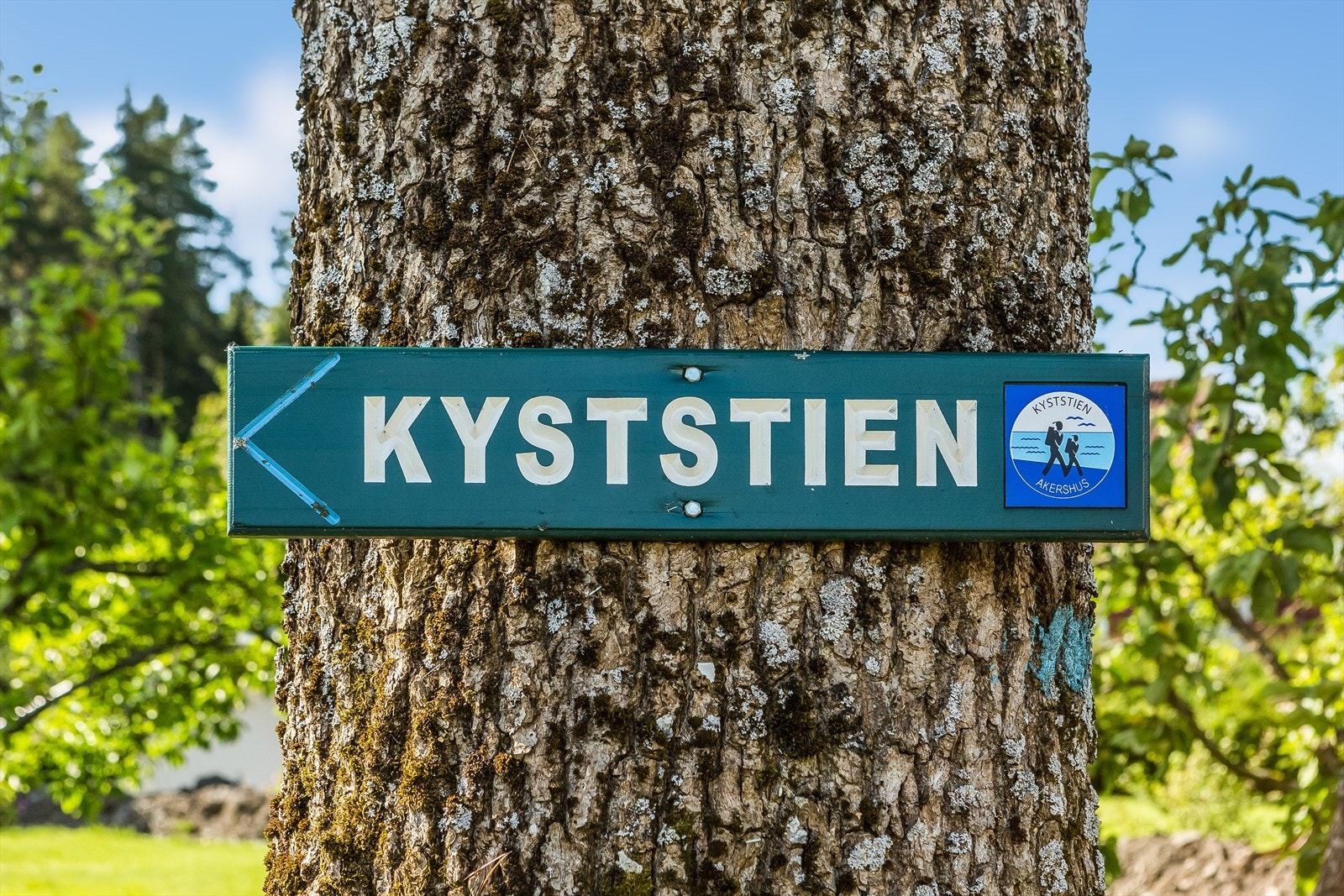 Kyststien er super om man er glad i å løpe eller gå tur, enten ut mot Konglungen eller mot Vollen. Galleribilde