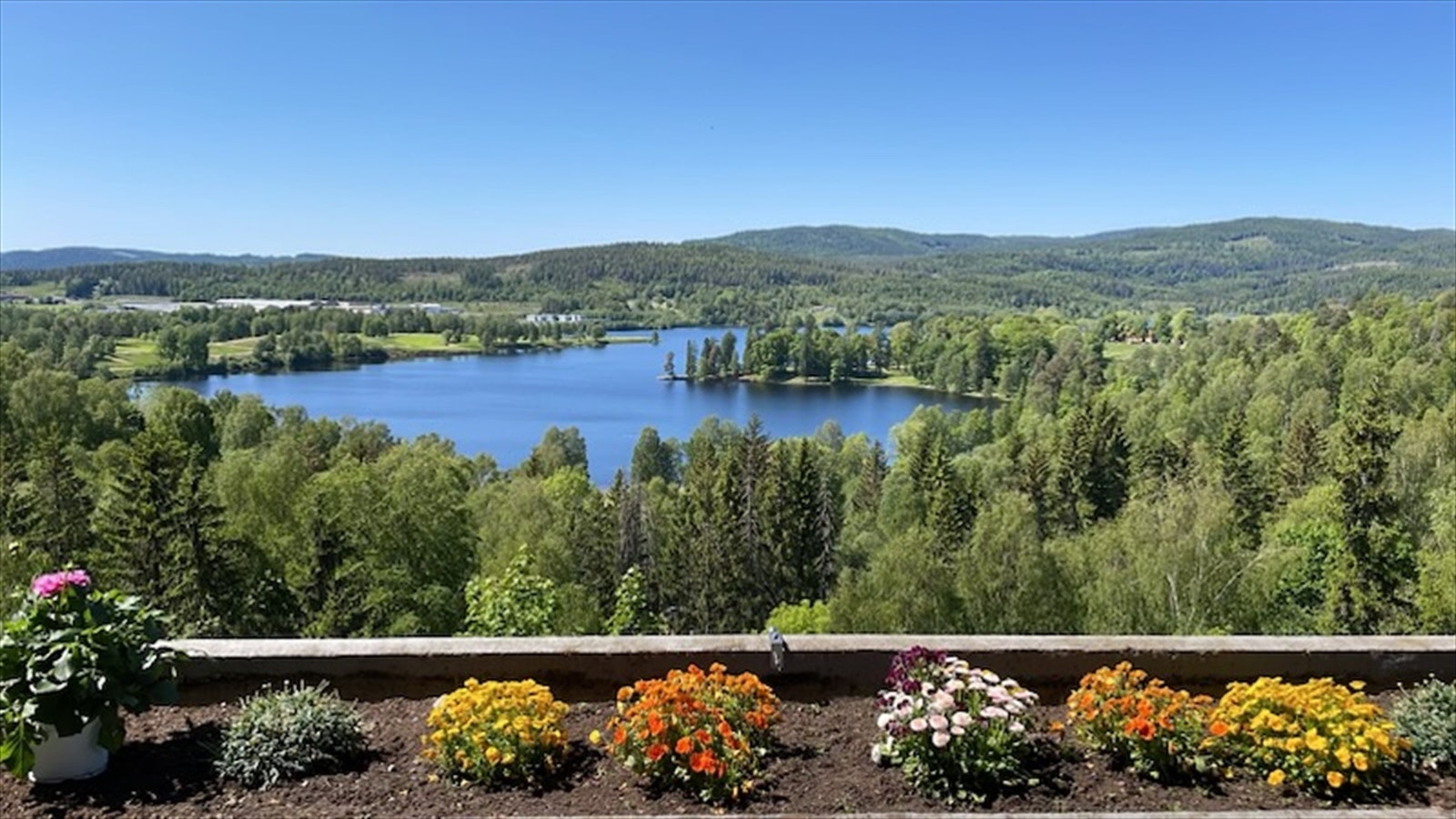 Utsikten på sommerstid. Galleribilde