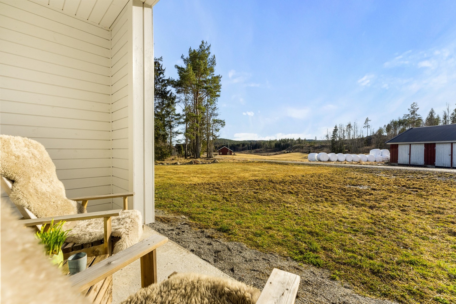 Flott utsikt over skogsarealer Galleribilde