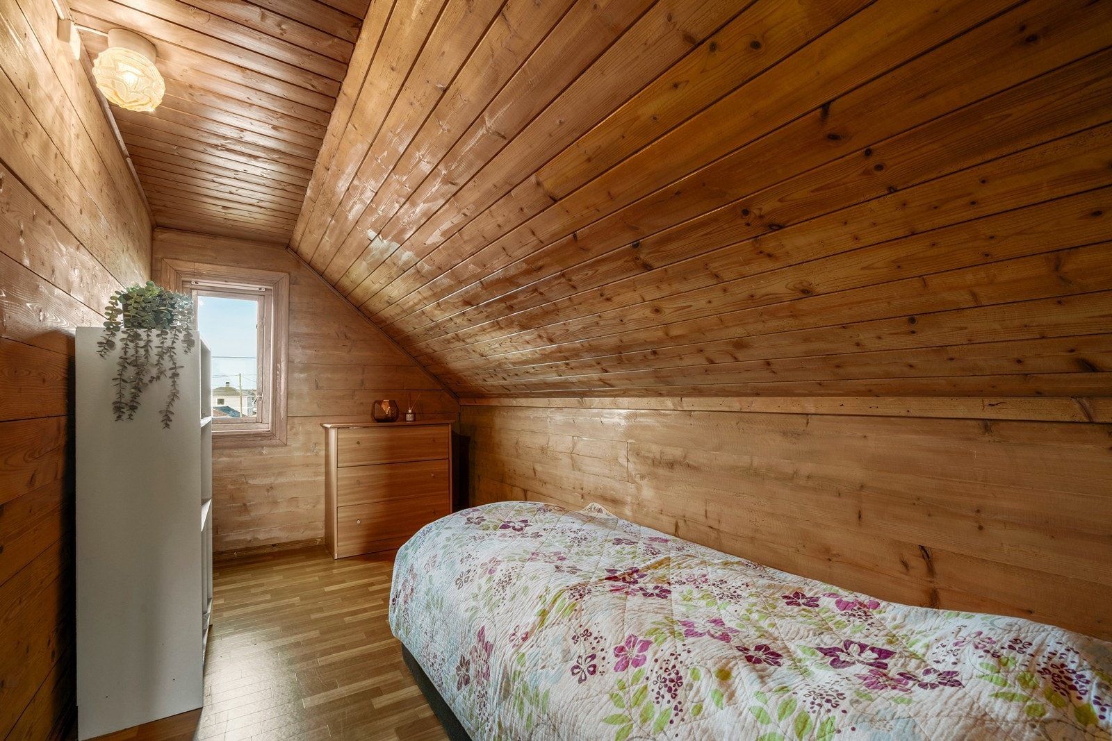 Kott på loft. Galleribilde