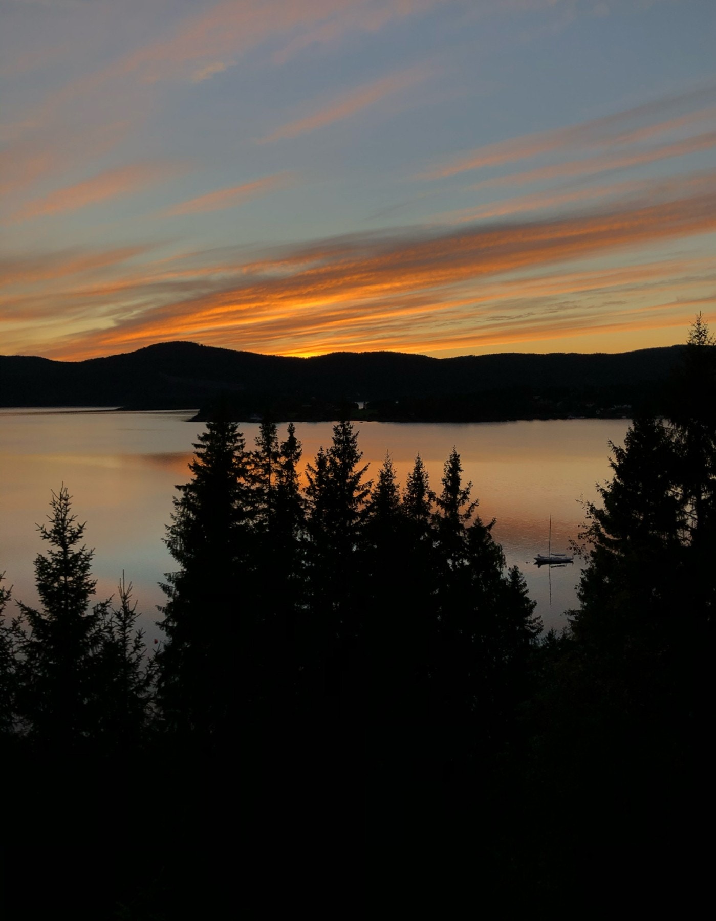 Områdebilde. Galleribilde