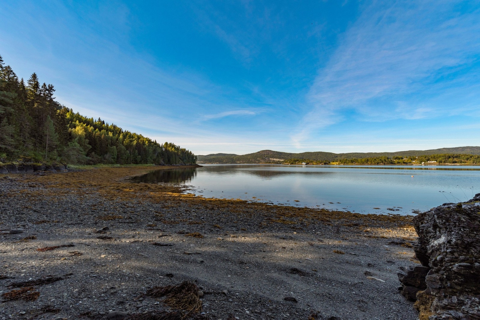 Sommeren 2018 og 2019 ble det målt badetemperaturer over 23 grader. Galleribilde
