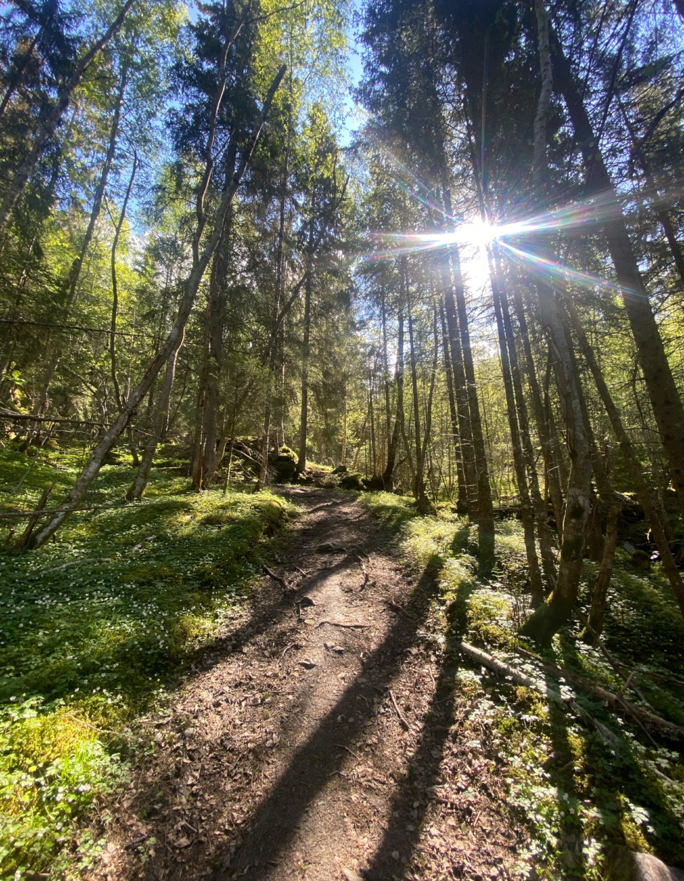 Områdebilde. Galleribilde