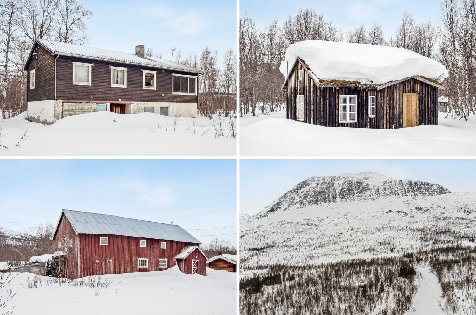 Collage Galleribilde