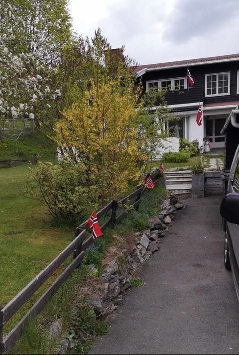 Selgers private utebilder. Galleribilde