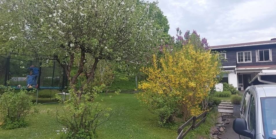 Selgers private utebilder. Galleribilde