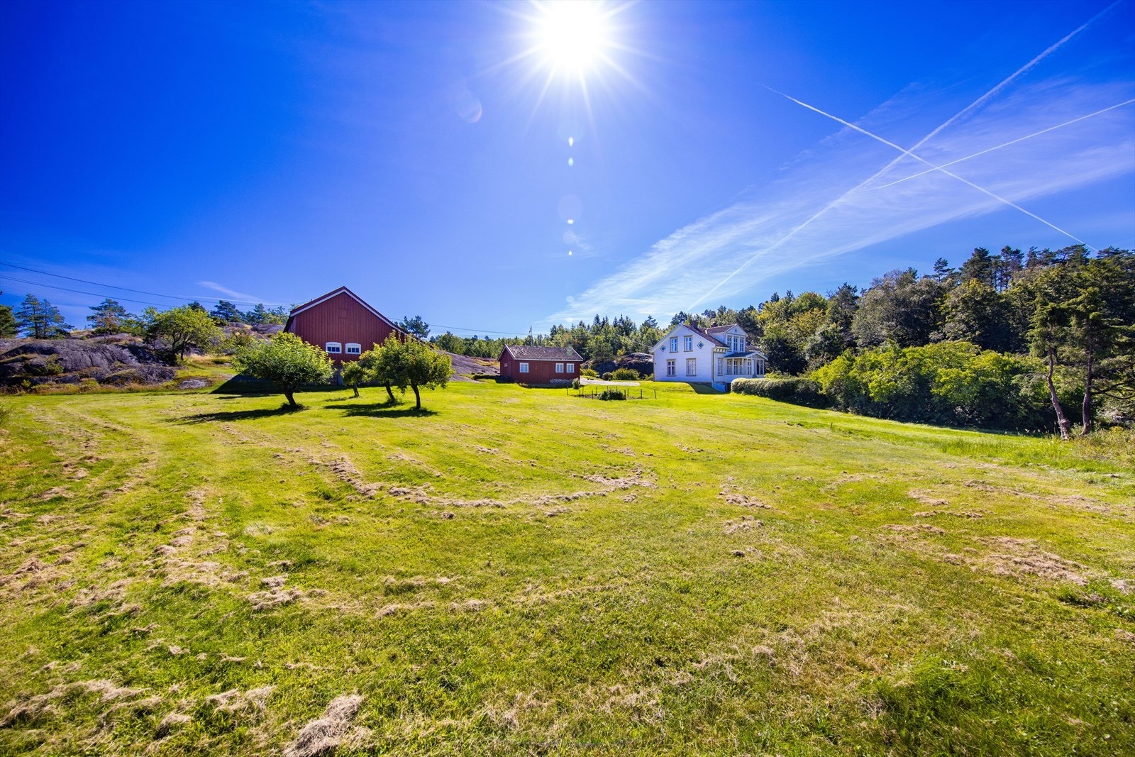 Det er fine uteområder med store, idylliske grøntområder med blant annet gamle frukttrær. Galleribilde