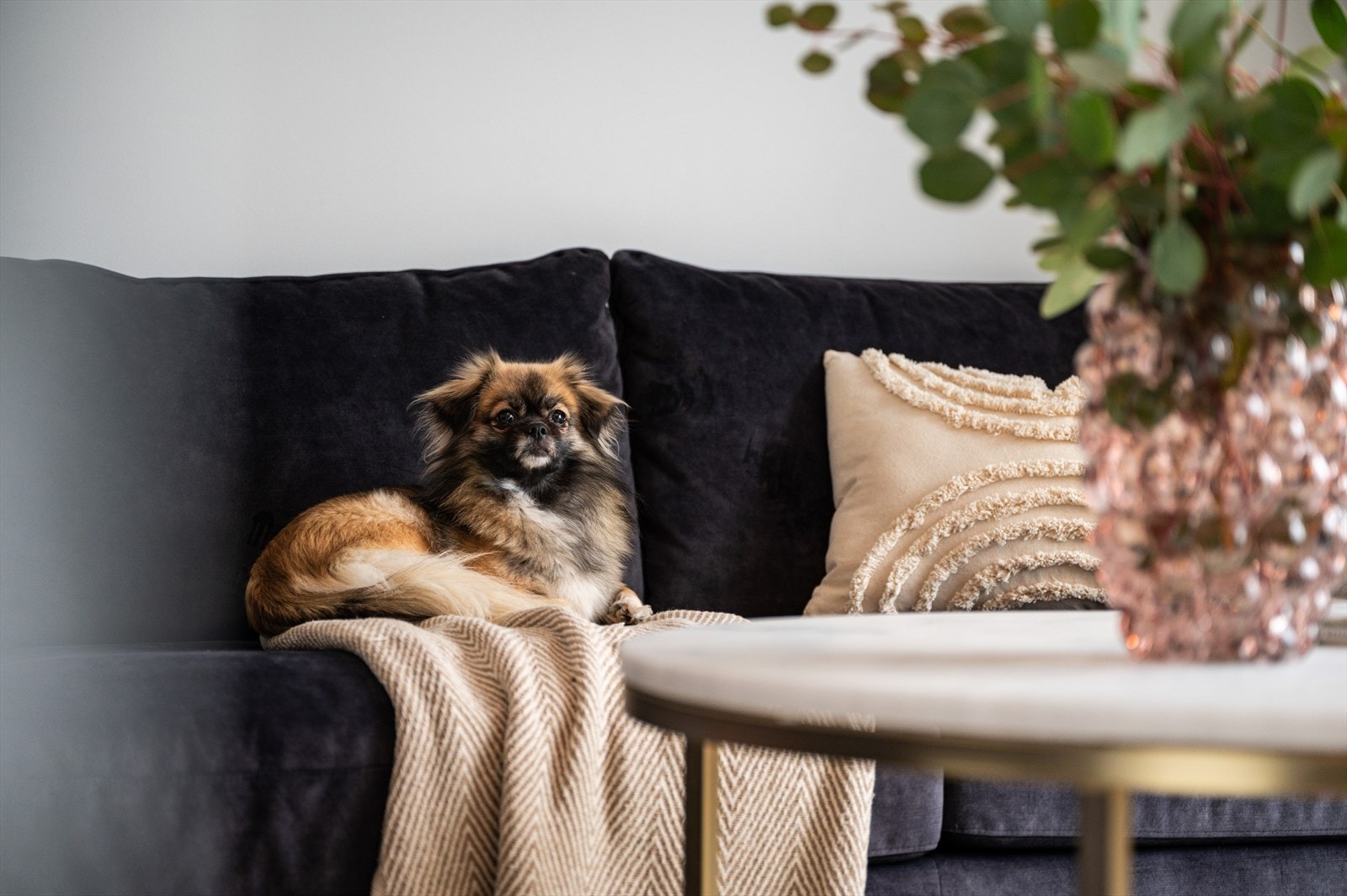 - En nydelig bolig passende flere livsfaser! - Galleribilde