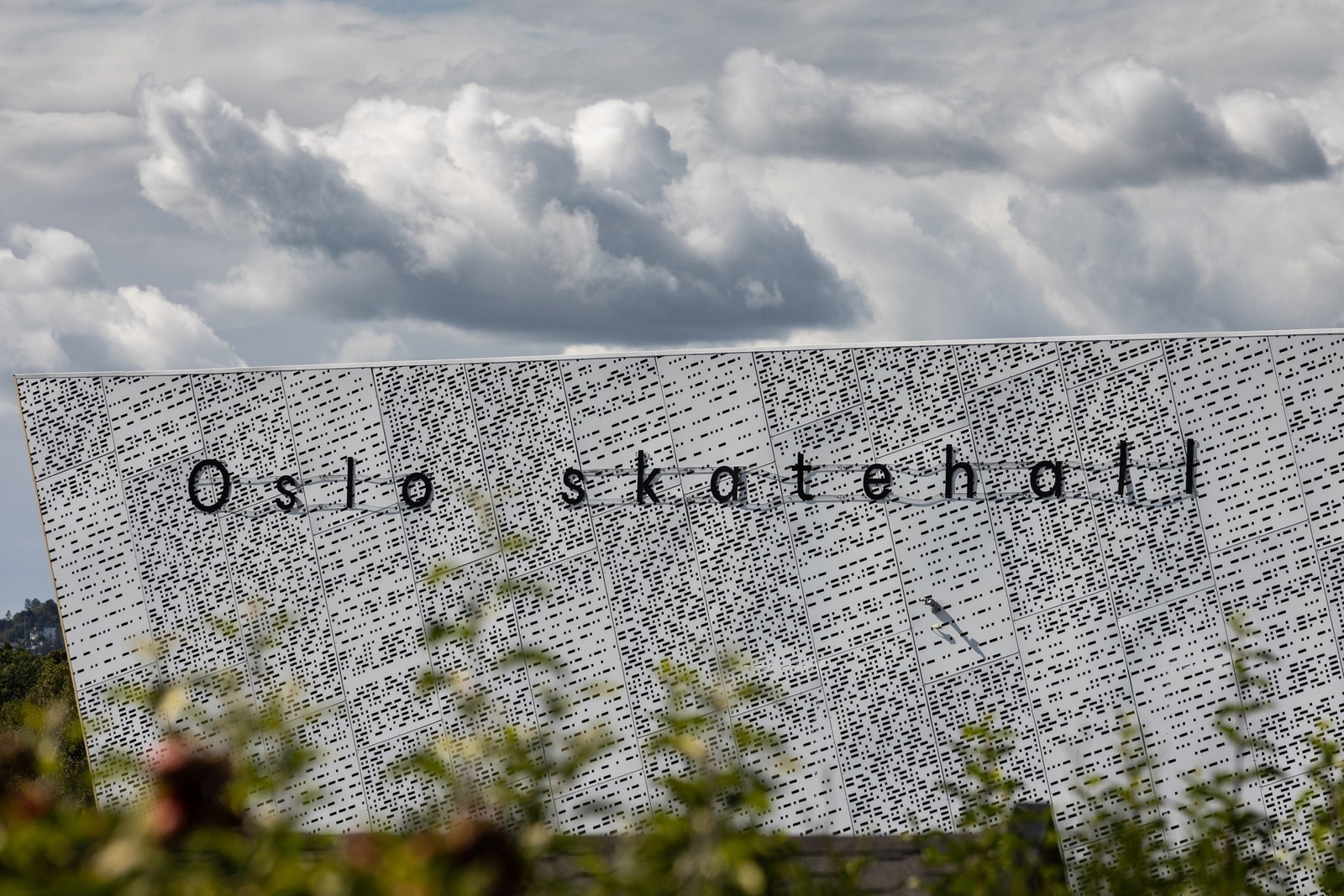 Oslo Skatehall er en 2,300 m² innendørs skatehall. Skatehallen er ny og er en del av Voldsløkka idrettspark. Galleribilde
