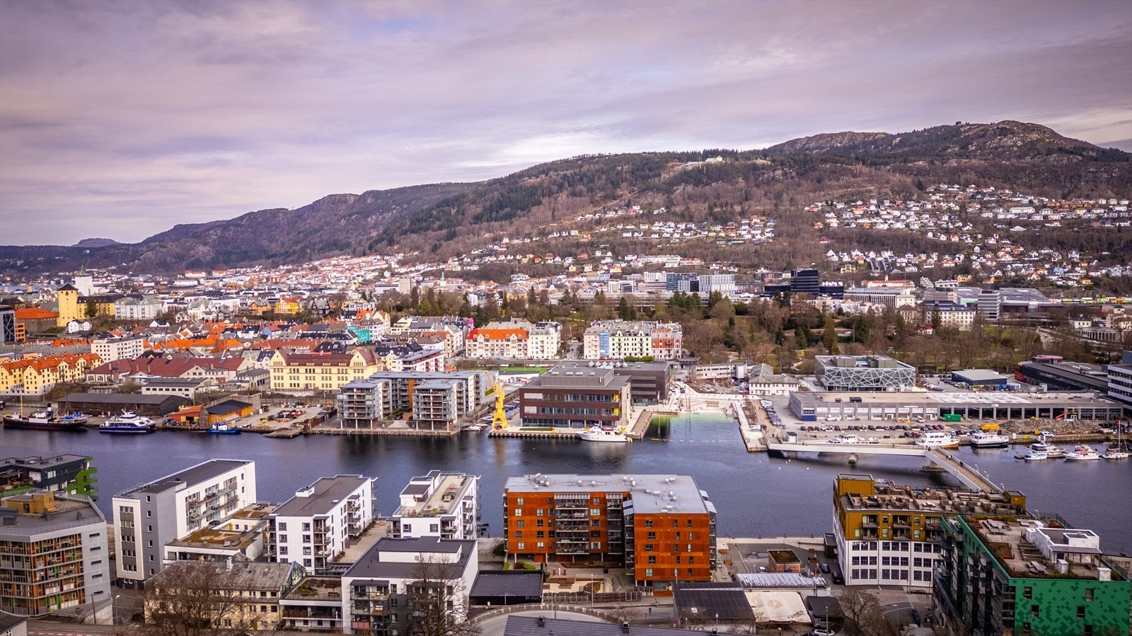 Velkommen til visning i flotte omgivelser torsdag 10.04.2025 kl. 16:30! Galleribilde