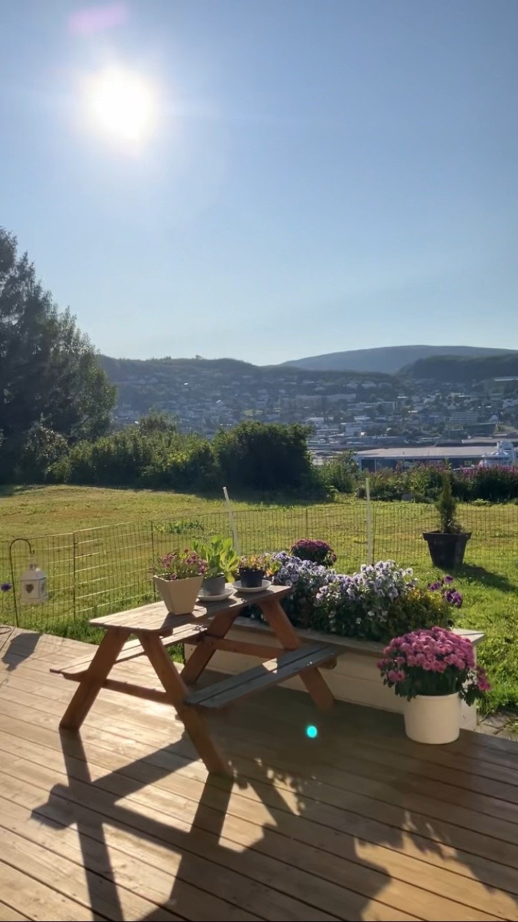 Selgers eget bilde Galleribilde