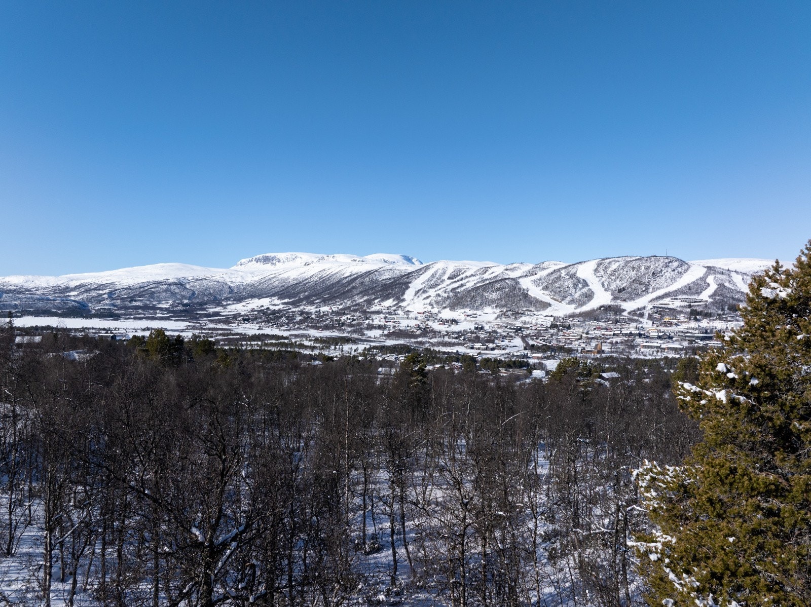 Utsyn fra tomta, her kan man falle til ro. Galleribilde