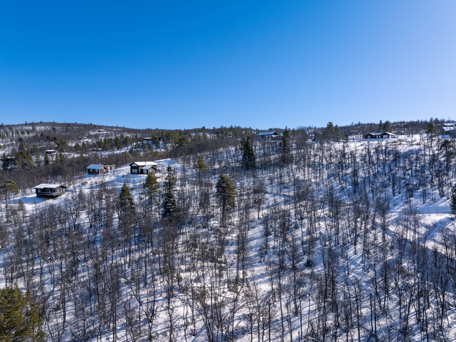 Tomten sett fra nord. Omkringliggende bygg er hytter og et enkelt hus. Galleribilde