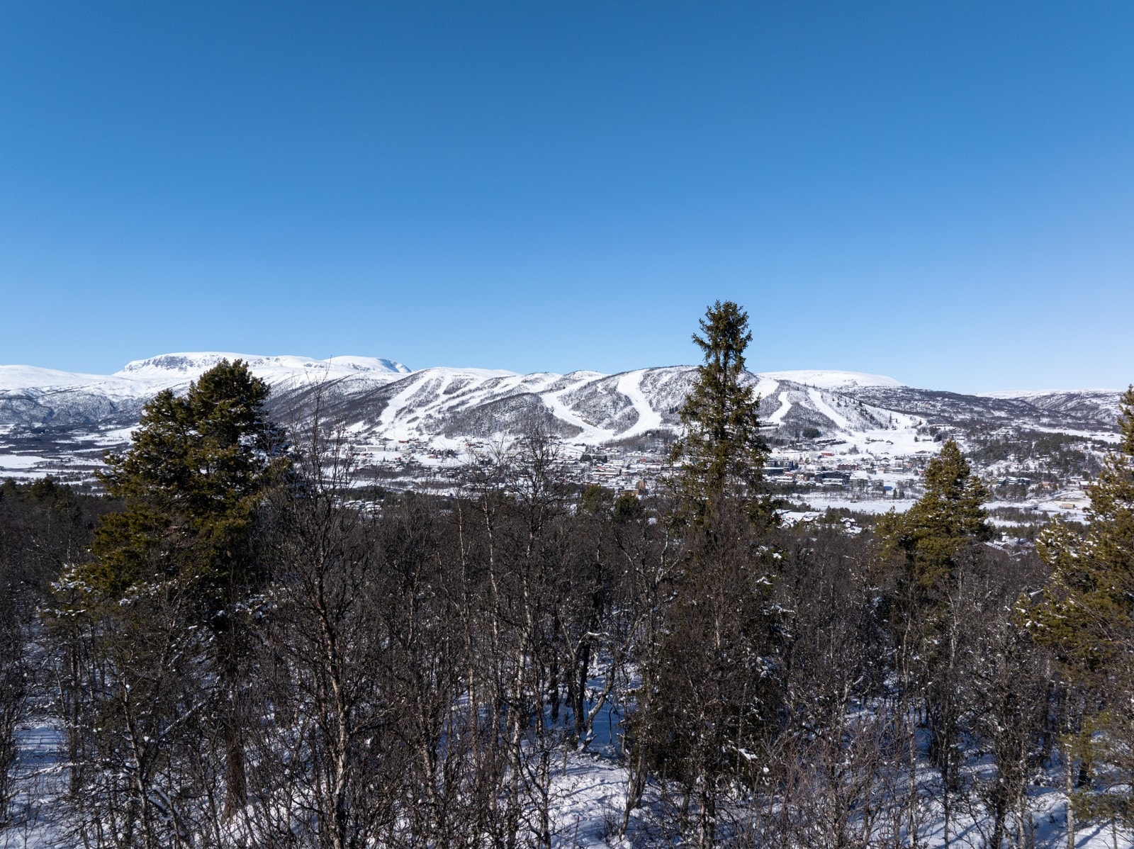 Lunt mellom tretoppene og skjermet fra innsyn har man denne utsikten. Det fantastiske er at området foran er LNF, og forblir urørt. Galleribilde
