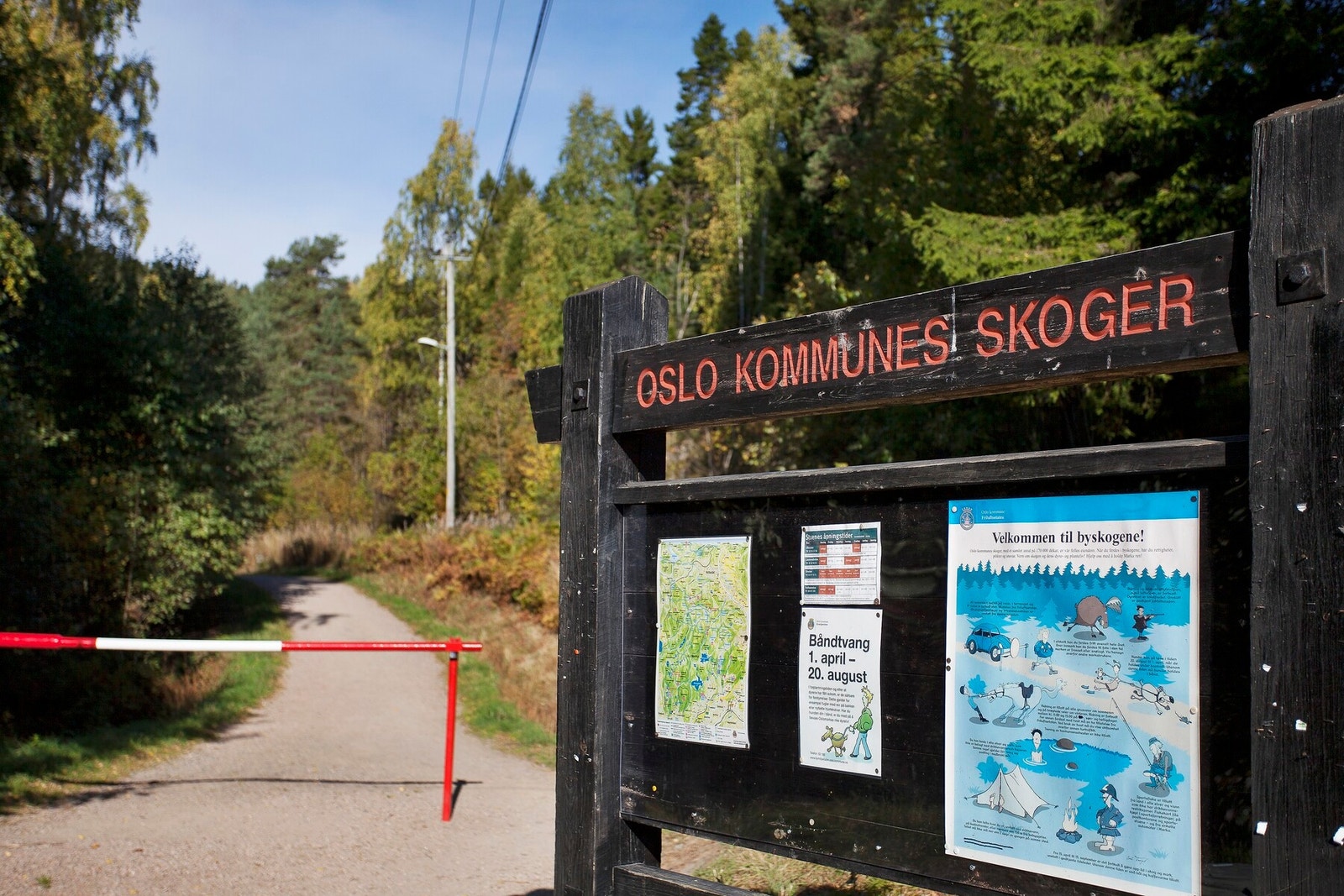 Fin spasertur via parkdrag fra Aker sykehus mot Lofthus og inn i marka. Galleribilde