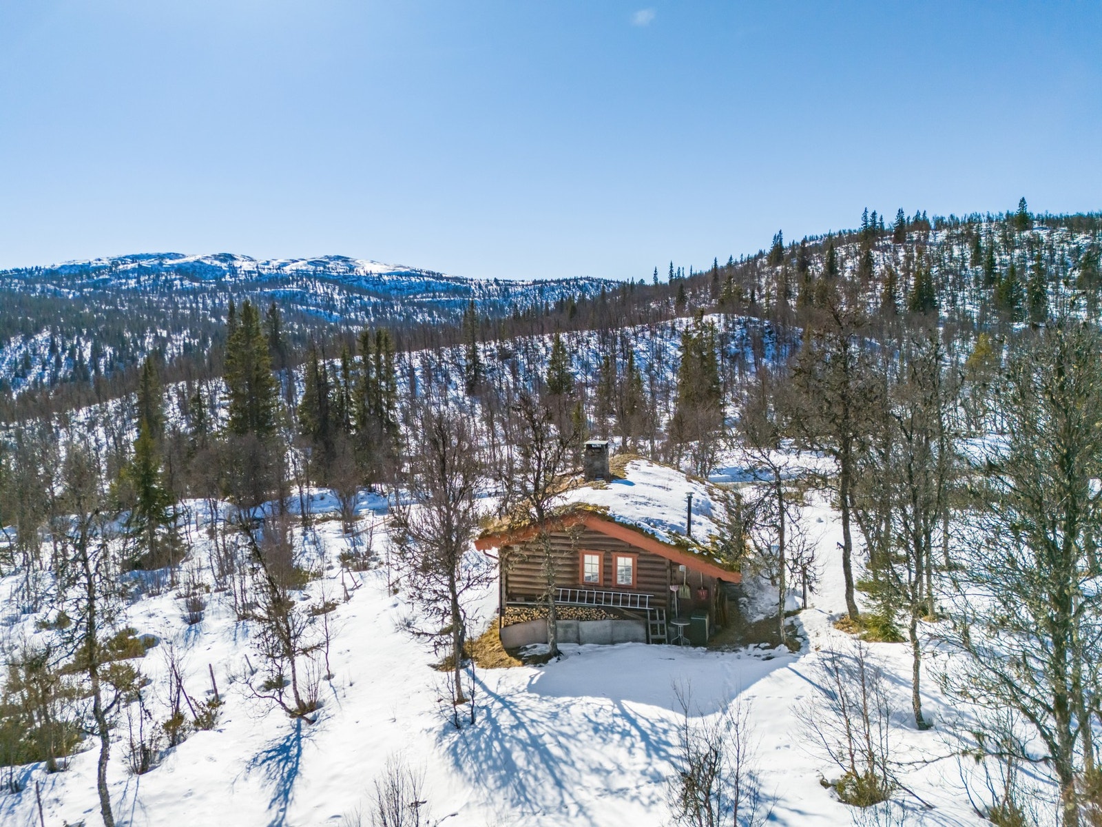 Arealeffektiv hytte med tre soverom. Galleribilde