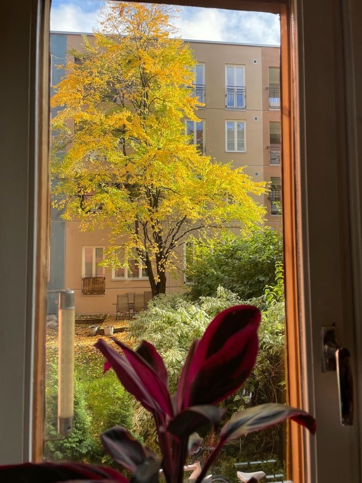 Hyggelig utsyn fra kjøkkenvinduet på sommerstid. Galleribilde