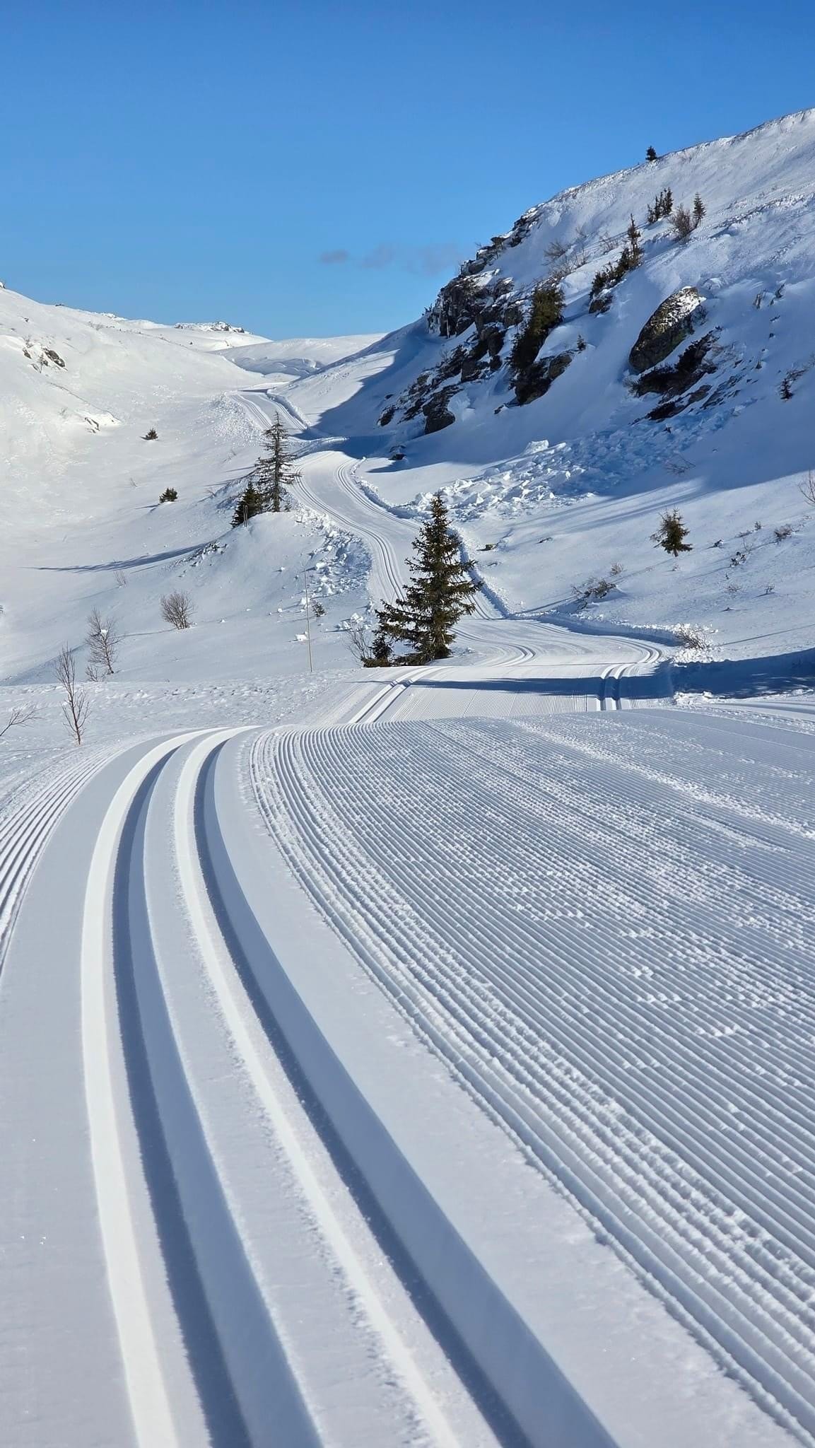 Skeikampen - et vintereldorado Galleribilde