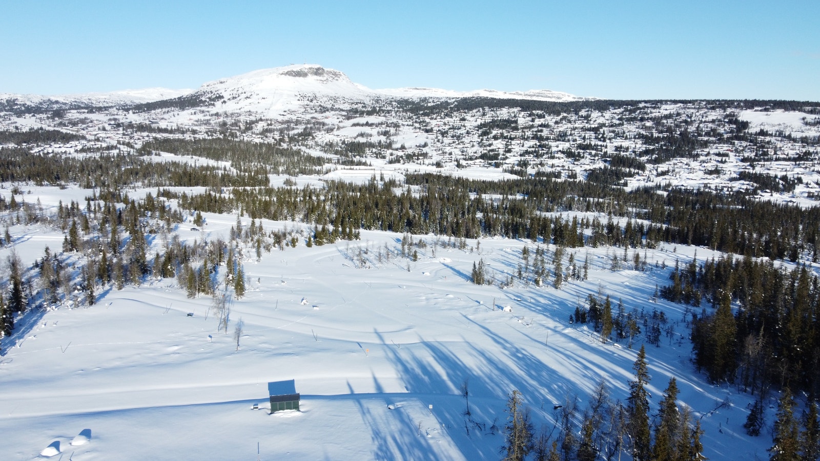 Kjoslia - langrennsløypene grenser til feltet både på nedsiden og mot vest Galleribilde