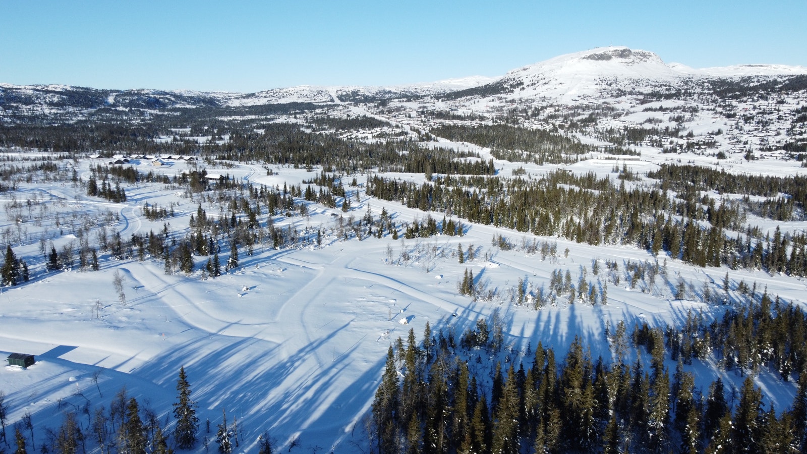 Kjoslia - langrennsløypene grenser til feltet både på nedsiden og mot vest Galleribilde