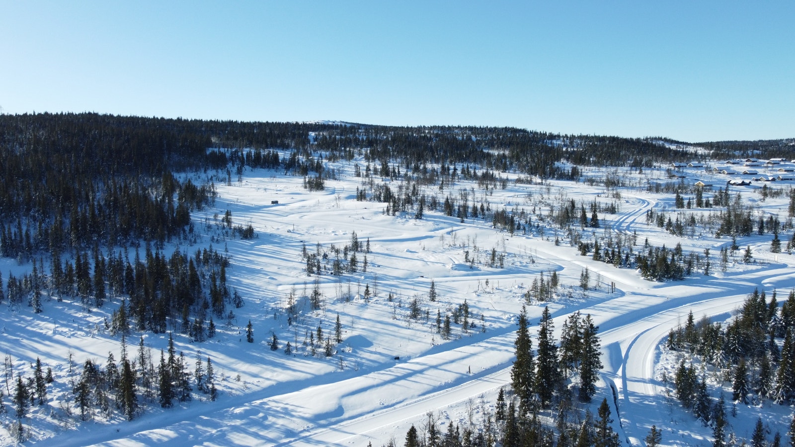 Kjoslia - langrennsløypene grenser til feltet både på nedsiden og mot vest Galleribilde