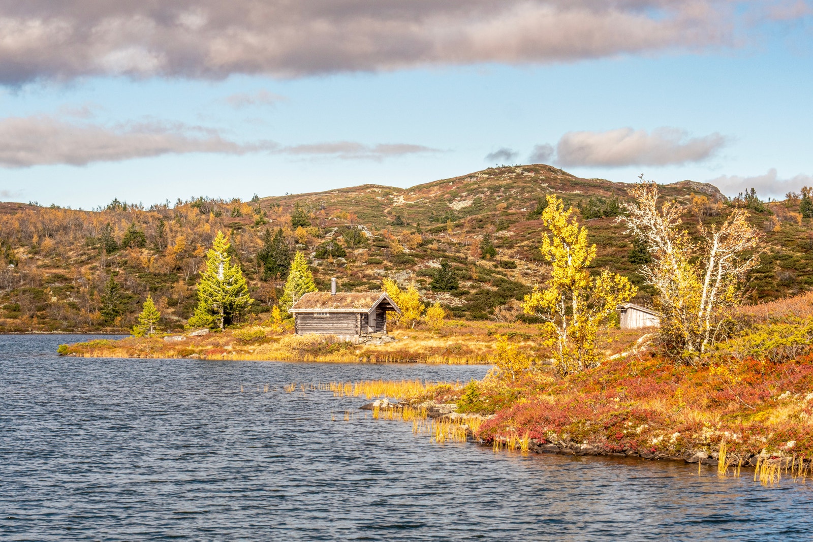 Skeikampen - 4 fantastiske årstider Galleribilde