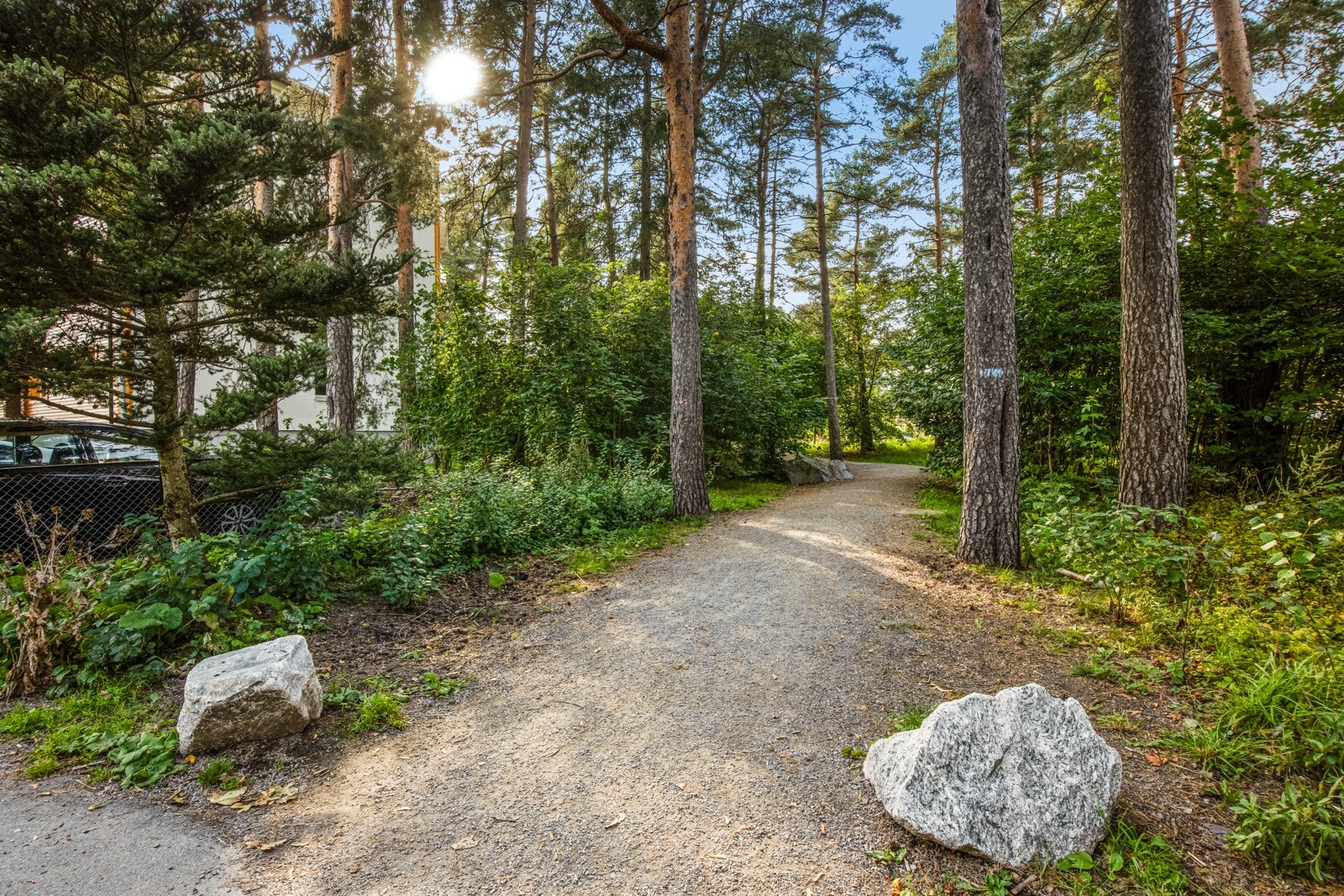 Dersom du er av den turglade personen har du inngangen til marka "rett utenfor døra" Galleribilde