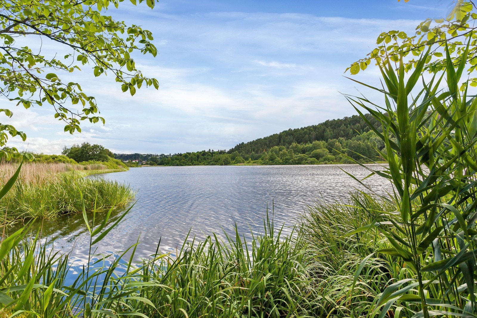Østensjøvannet er også et fint område med flotte turløyper og lekeplasser kort avstand fra boligen. Galleribilde