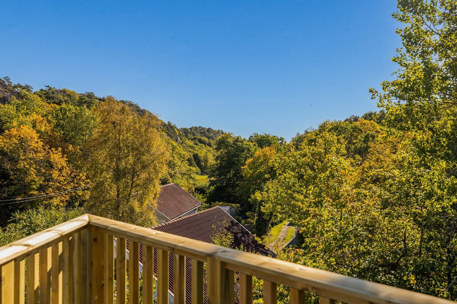 Fin utsikt ut mot den flotte naturen. Galleribilde