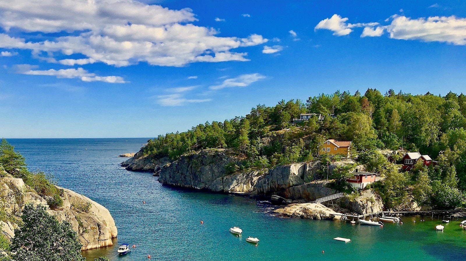 Svinevika Galleribilde