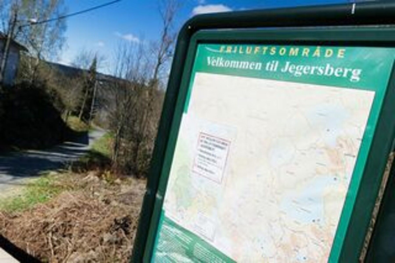 I Jegersberg er det mange flotte turløyper Galleribilde