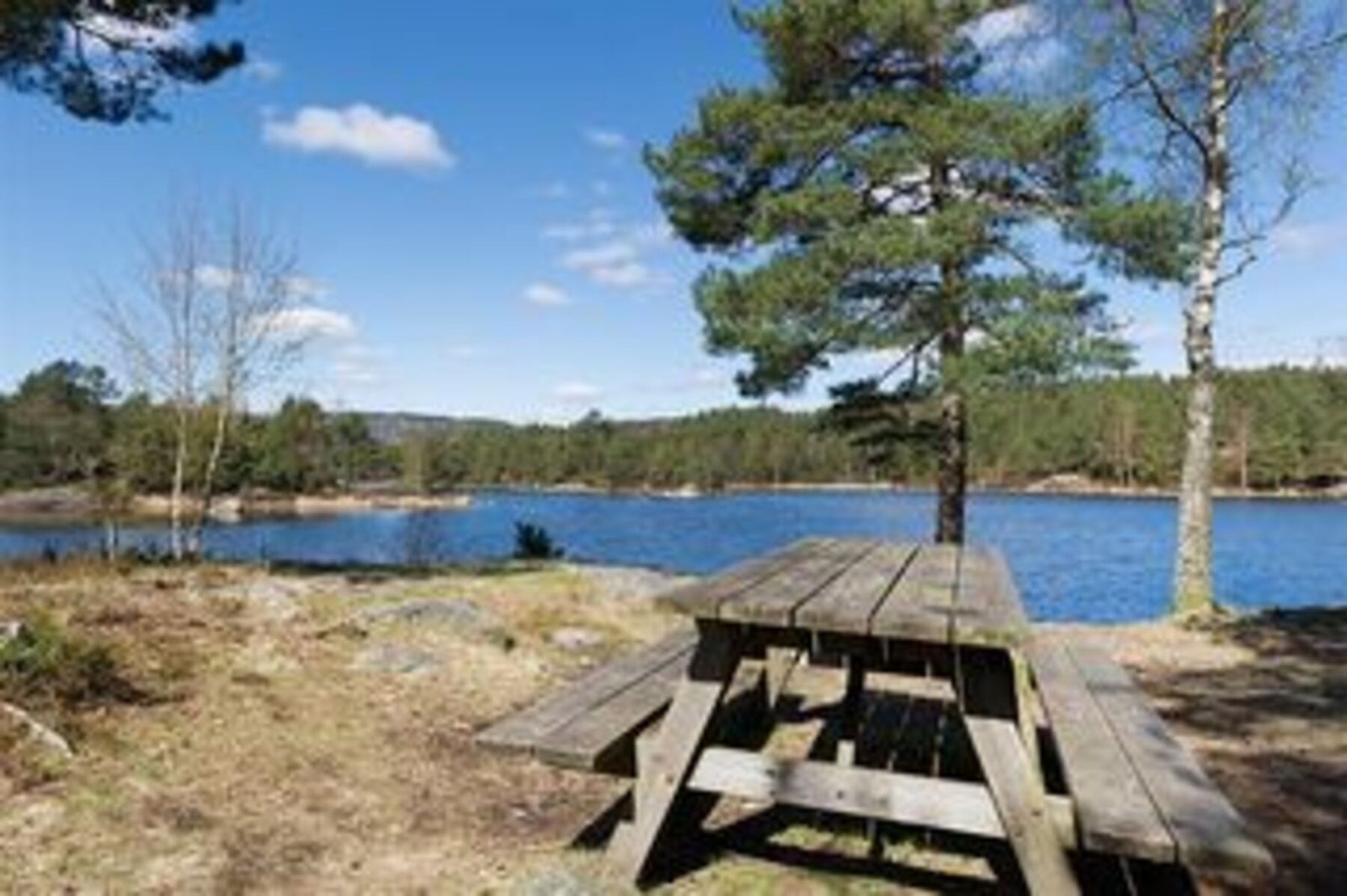 Fra Jegersbergs fine turområde Galleribilde