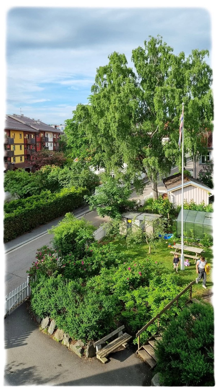 Sommer (foto Kurt Evert Odin Stenbakk) Galleribilde