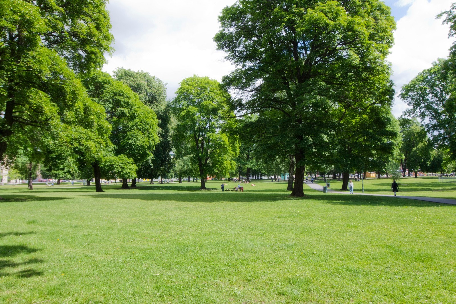 Sofienbergparken Galleribilde