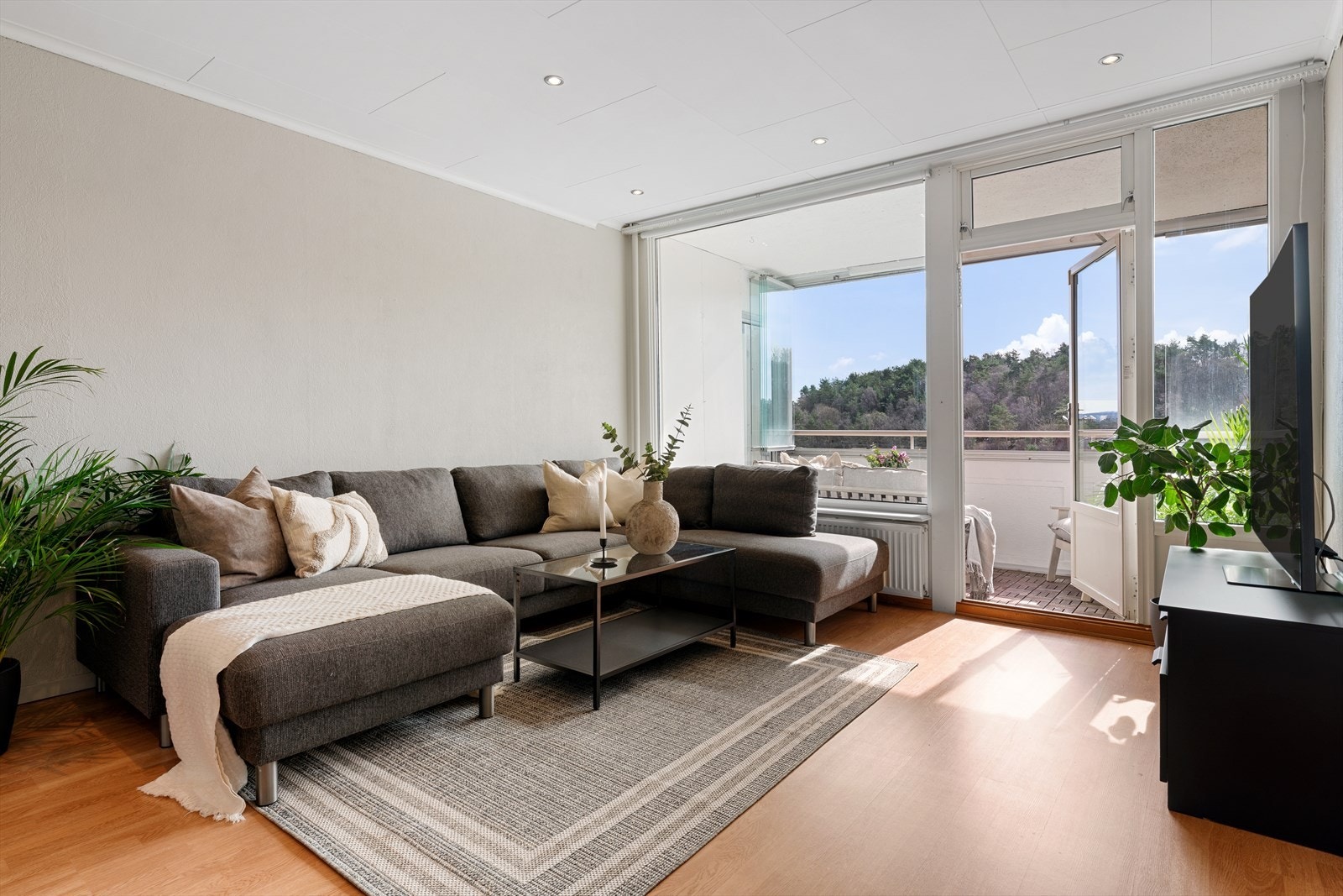 - De generøse vindusflatene fra gulv til tak bidrar til rikelig med verdifullt lysinnslipp - Galleribilde