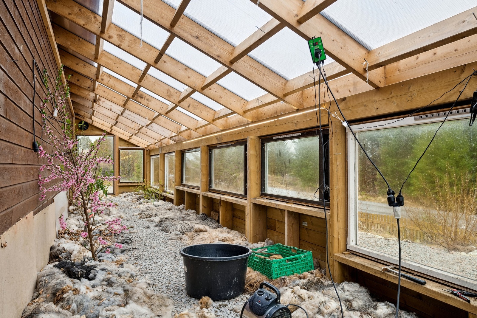 I drivhuset er det plantet blåbærbusker, ferskentrær, aprikos og druer. Galleribilde