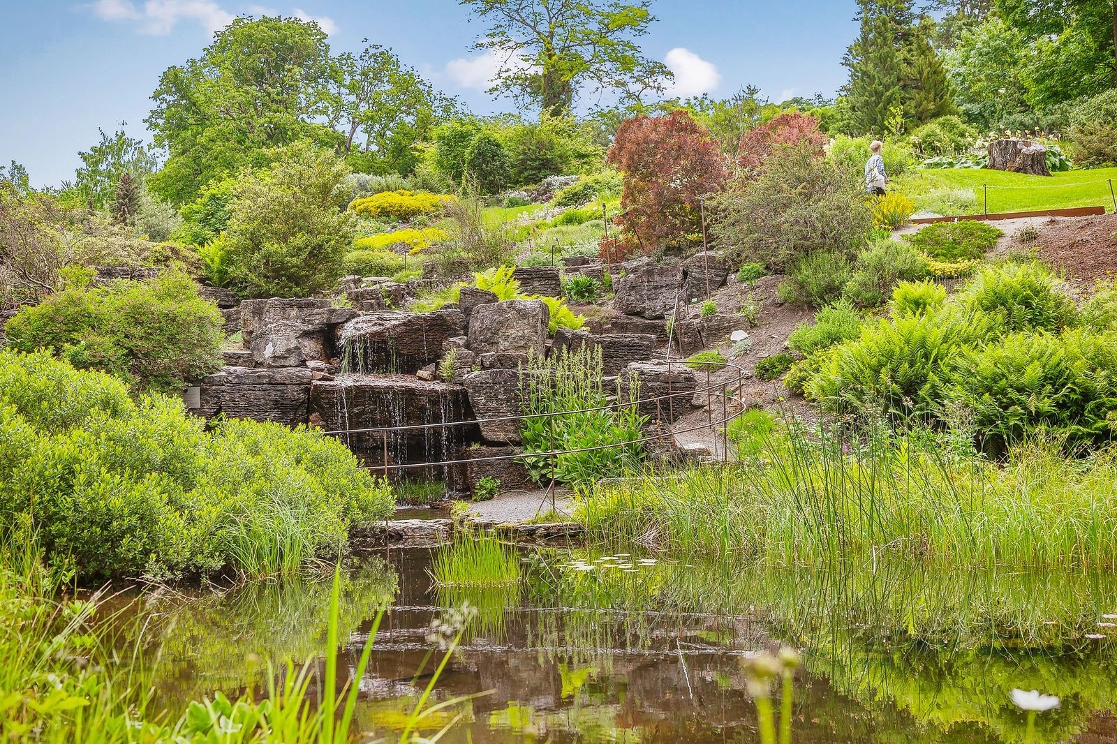 Fra leiligheten har man gangavstand til flotte Botanisk Hage Galleribilde