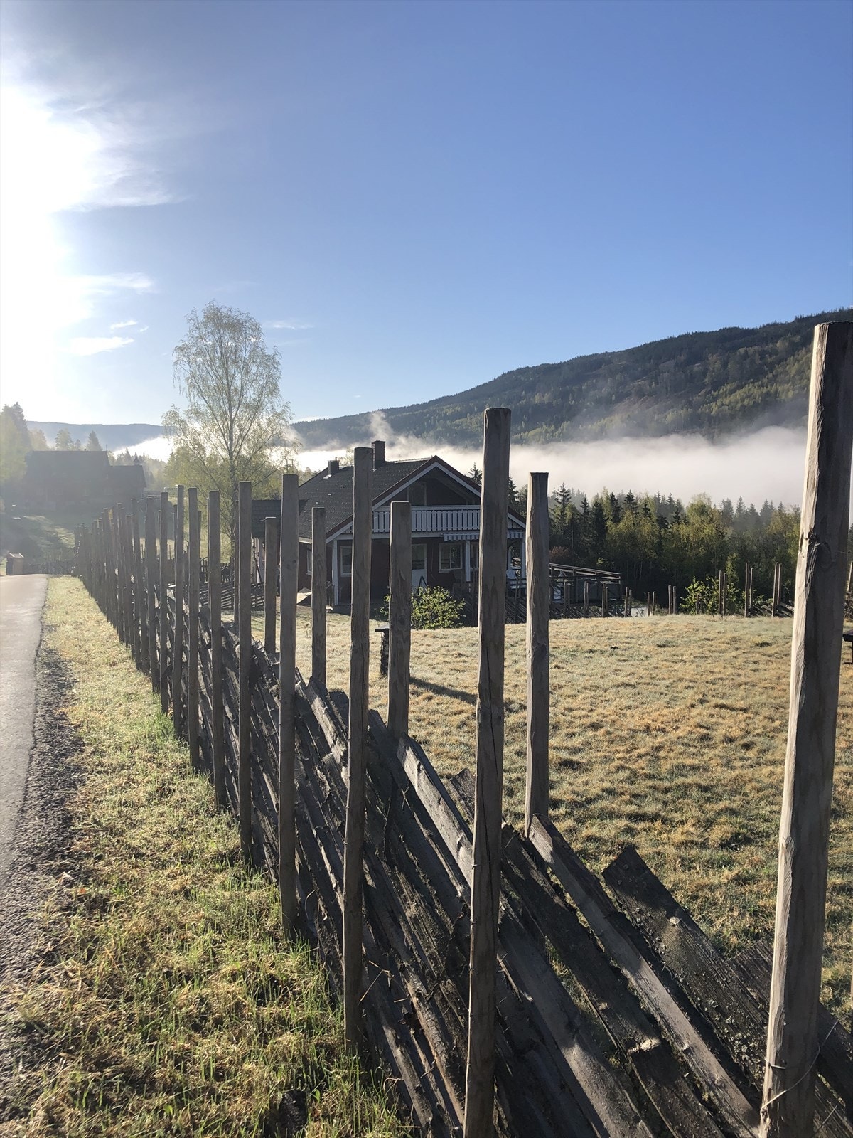 Private bilder Galleribilde