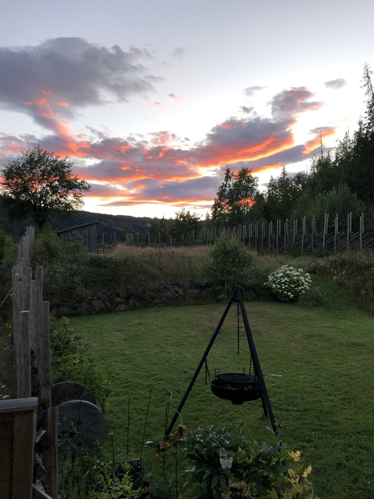 Private bilder Galleribilde