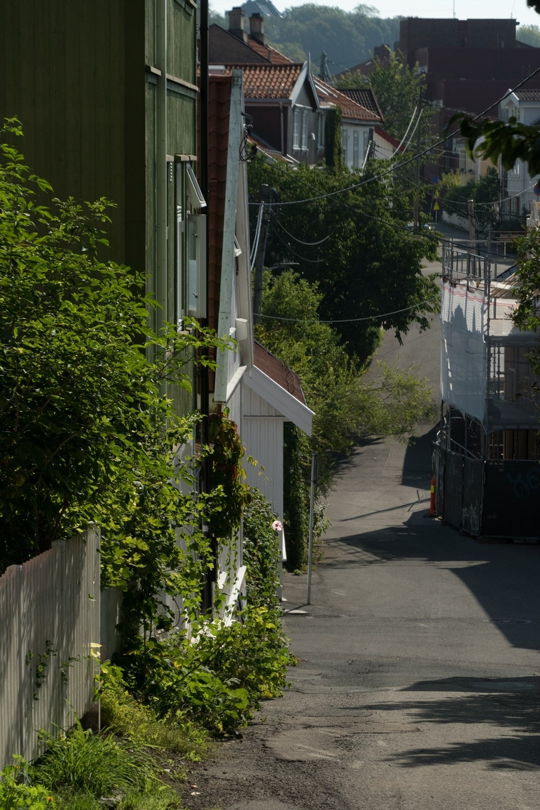 Rodeløkka er velkjent for sine sjarmerende trehus Galleribilde