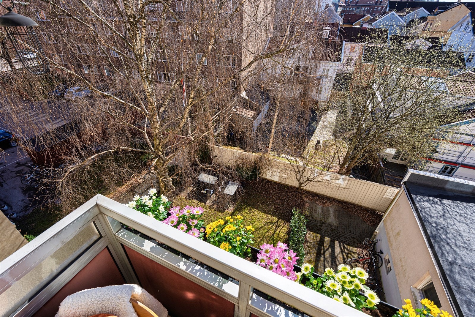 Utsikt over den grønne og skjermede bakgården. Galleribilde