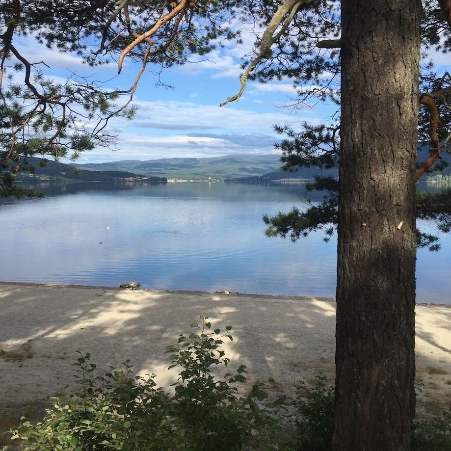 Badestrand ved Krøderen. Galleribilde