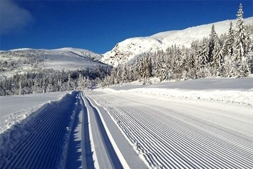 Langrennsløyper opp fjellet. Galleribilde
